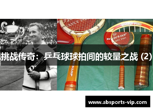 挑战传奇：乒乓球球拍间的较量之战 (2)